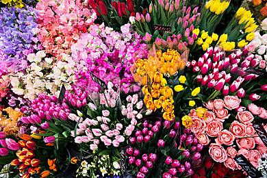 《命运2》扩展开放权限月现在开始