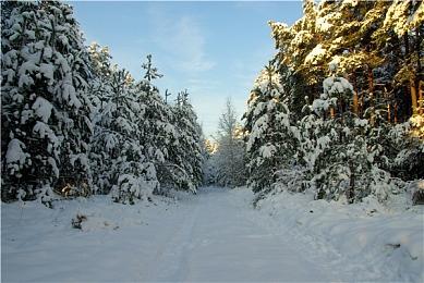 传闻：《猎天使魔女3》将于10月28日发售