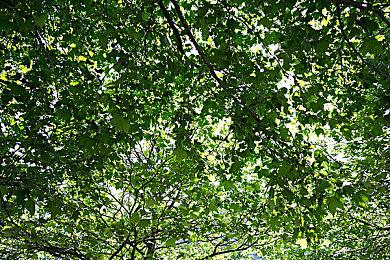 PS+欧美服1月会免游戏公布 《辐射76》等入库